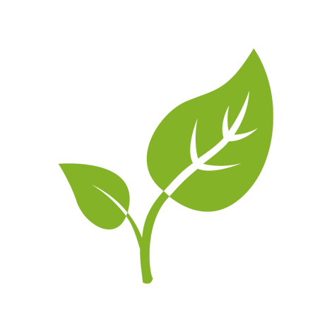 Green Icon